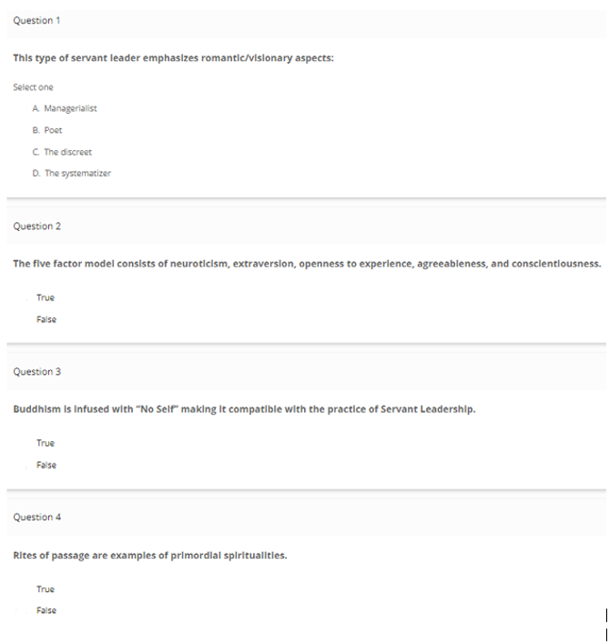 This type of servant leader emphasizes