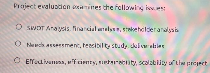 Project evaluation examines the following issues:
