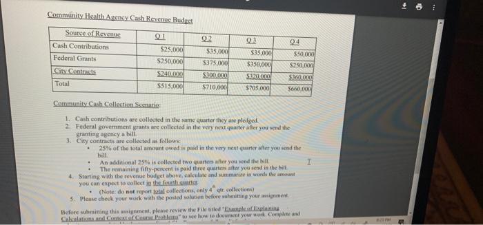 Community Health Agency Cash Revenus Budget 04