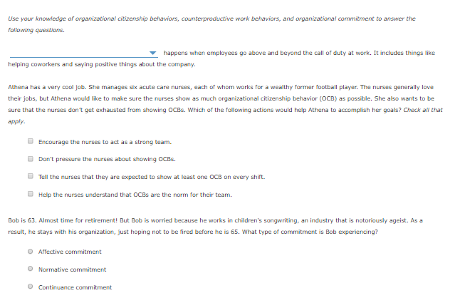 options: organizational commitment;