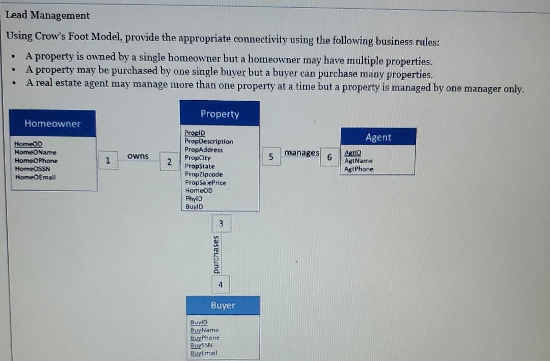 Lead Management Using Crow's Foot Model, provide