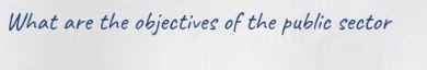 What are the objectives of the public sector