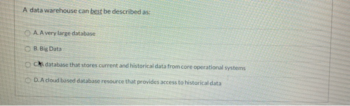 A data warehouse can best be described as: A. A