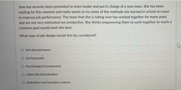 Jane has recently been promoted to team leader