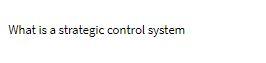 What is a strategic control system