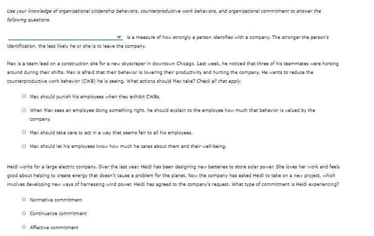 options: organizational commitment;