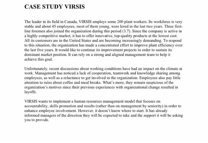 organization effectiveness case analysis ivey