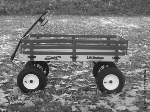 Business Plan Case. Smittys Lil Haulers I t was