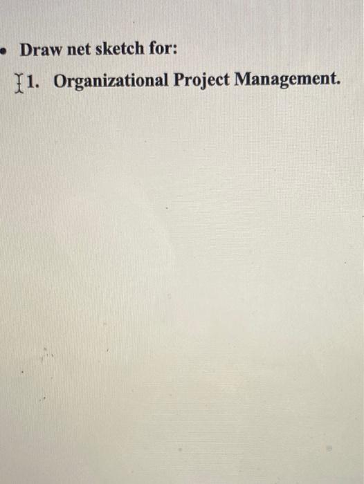 Draw net sketch for: 11. Organizational Project