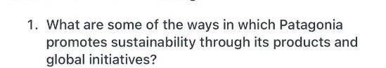 1. What are some of the ways in which Patagonia