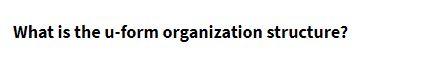 What is the u-form organization structure