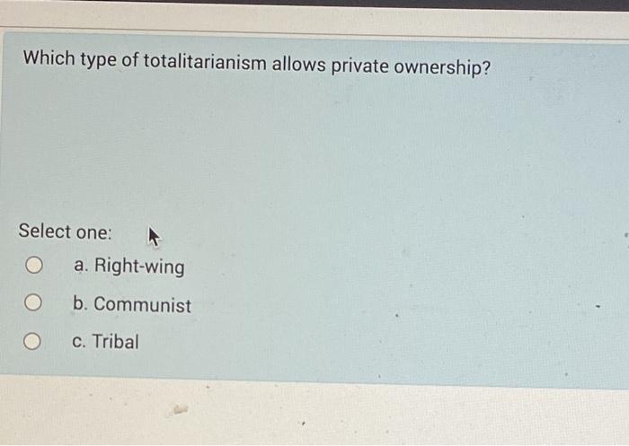 Which type of totalitarianism allows private