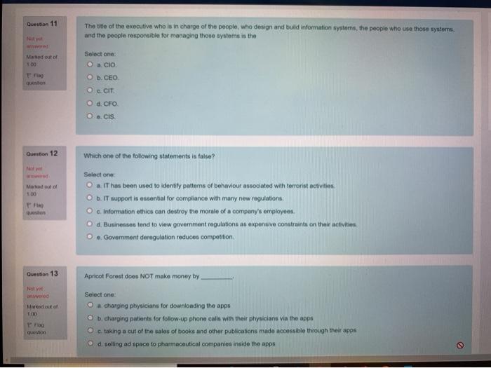 Question 11 The title of the executive who is in