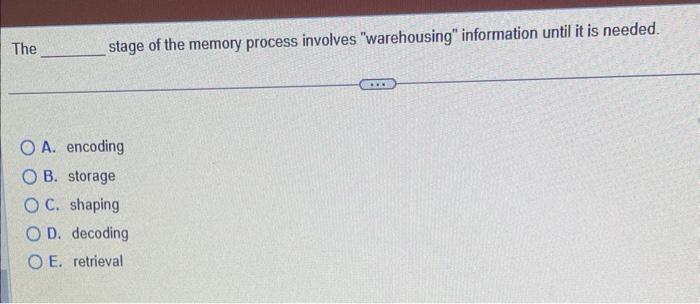 Devon came into work one day sporting a new and