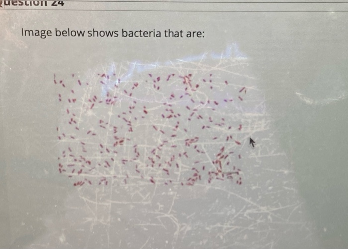 24. the answer is incorrect 27. the answer is