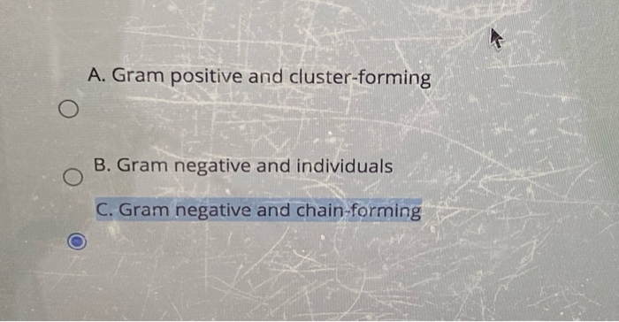 24. the answer is incorrect 27. the answer is