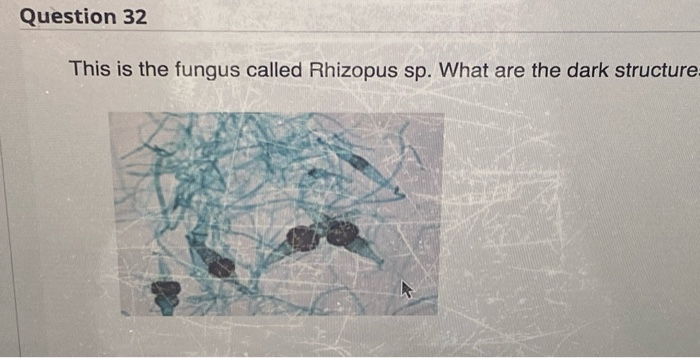 24. the answer is incorrect 27. the answer is