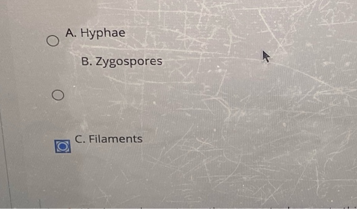 24. the answer is incorrect 27. the answer is