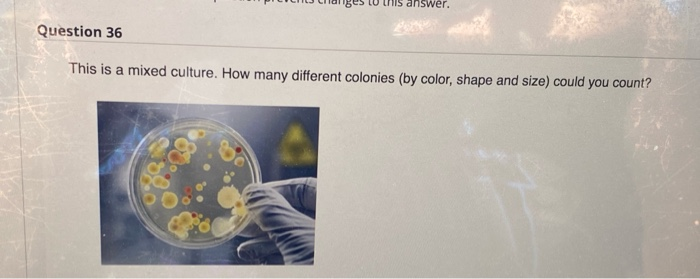 24. the answer is incorrect 27. the answer is