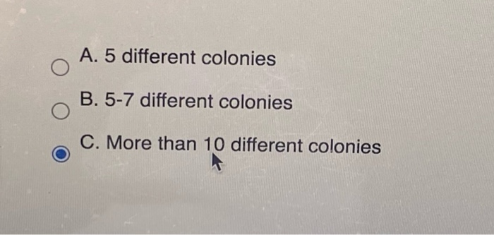 24. the answer is incorrect 27. the answer is
