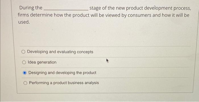 During the stage of the new product development