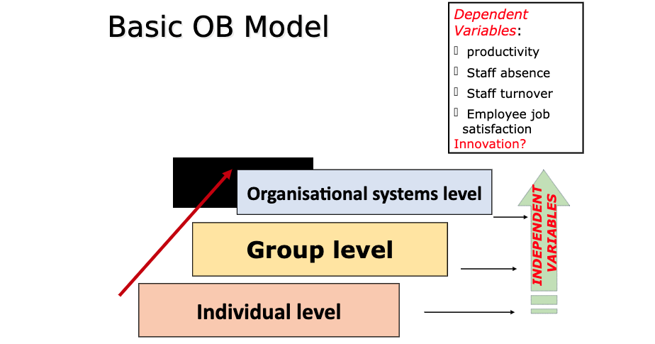 how will you use organisational behaviour model