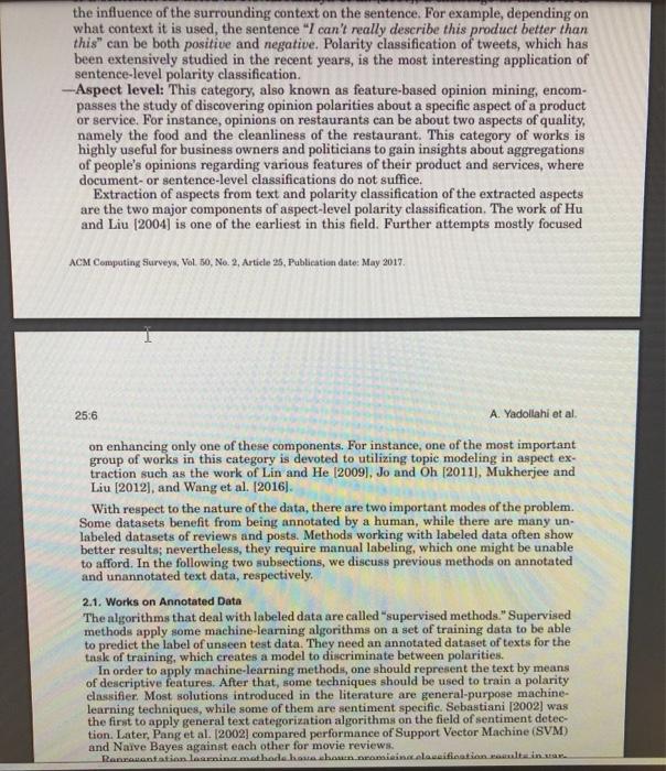 briefly discuss polarity classification