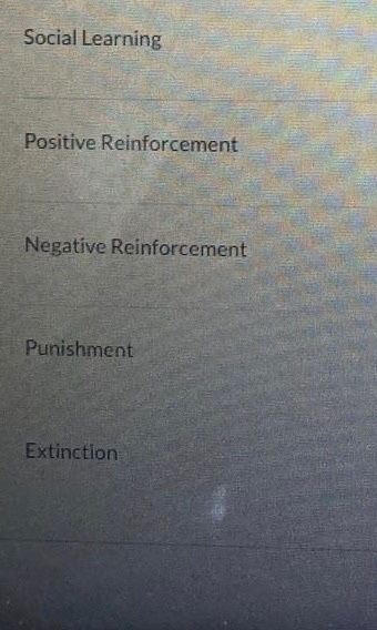 match the following words Motivation Attitude