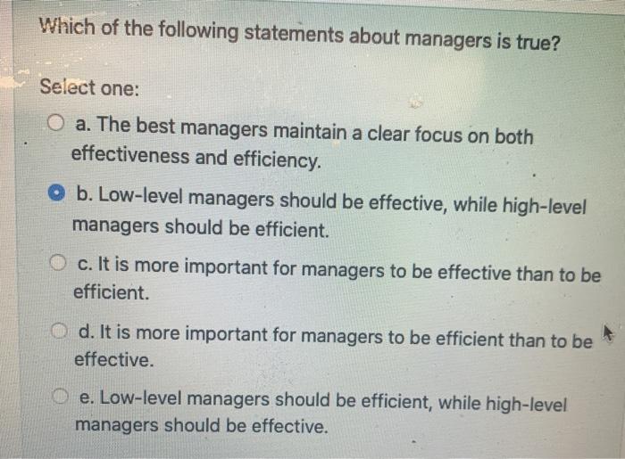 Which of the following statements about managers