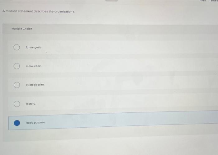 A mission statement describes the organization's