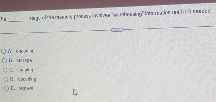 Analogous to a computer, memory is working