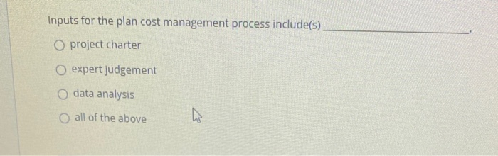 Inputs for the plan cost management process