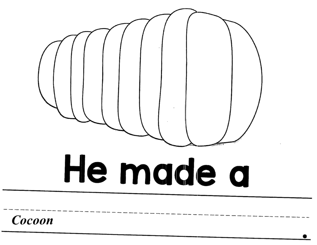 Look back at your objective, Assessment for this