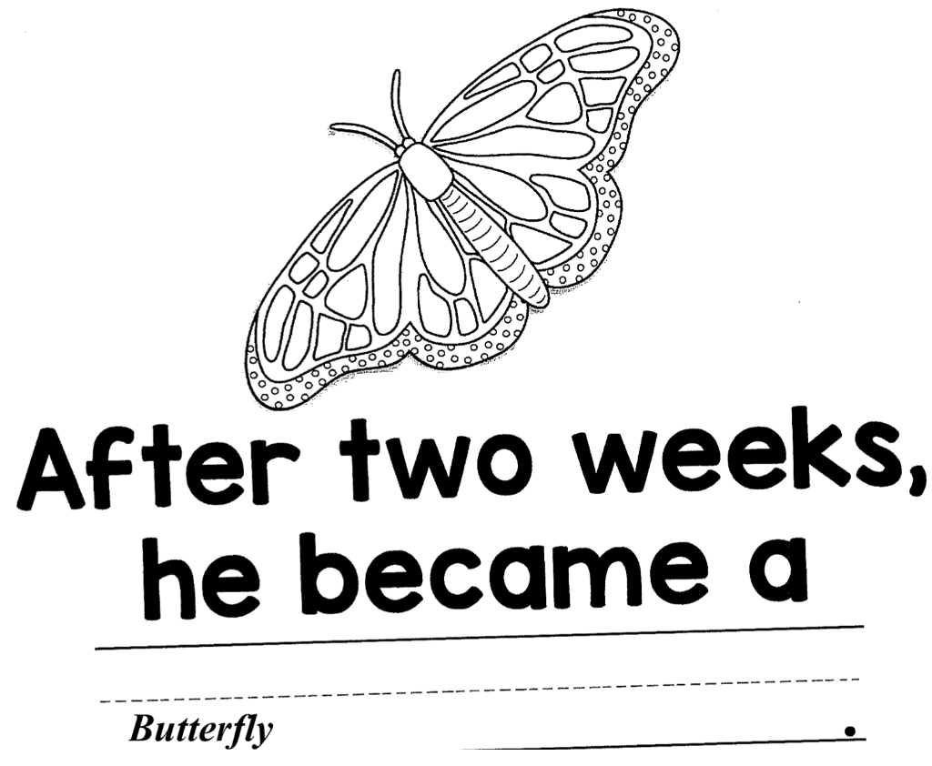 Look back at your objective, Assessment for this