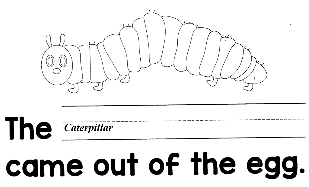 Look back at your objective, Assessment for this