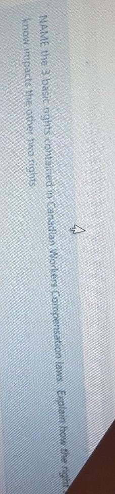 NAME the 3 basic rights contained in Canadian