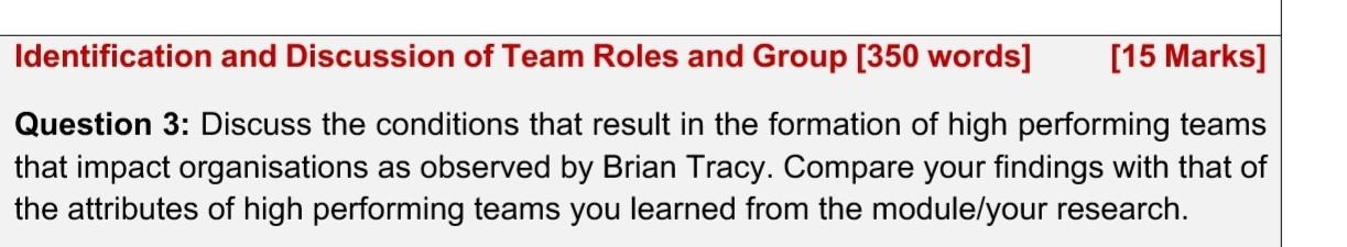 Identification and Discussion of Team Roles and