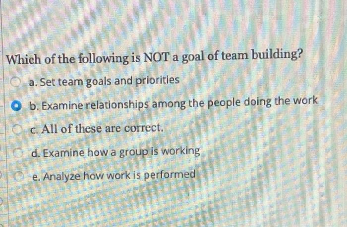 Which of the following is NOT a goal of team