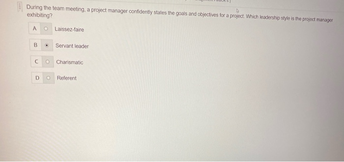 During the team meeting, a project manager