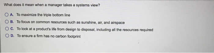 What does it mean when a manager takes a systems