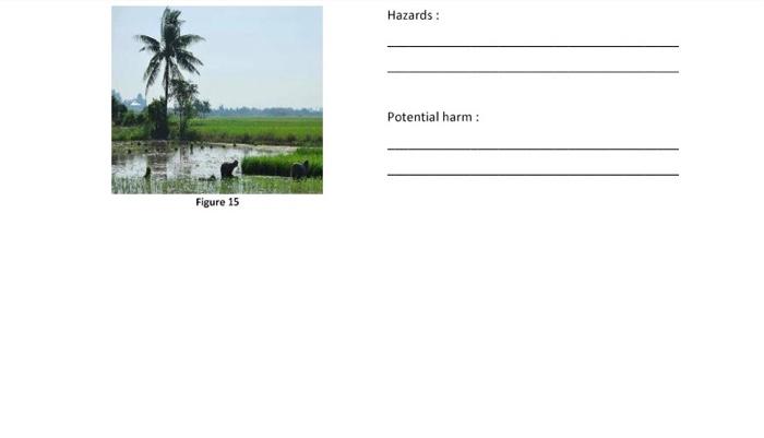 Hazards: Potential harm: Figure 15