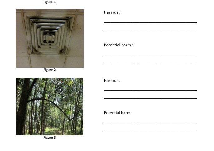 Figure 1 Hazards: Potential harm : Figure 2