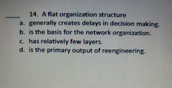 14. A flat organization structure a. generally
