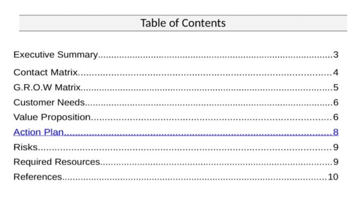 Key Account Plan for Vancouver Airport Authority