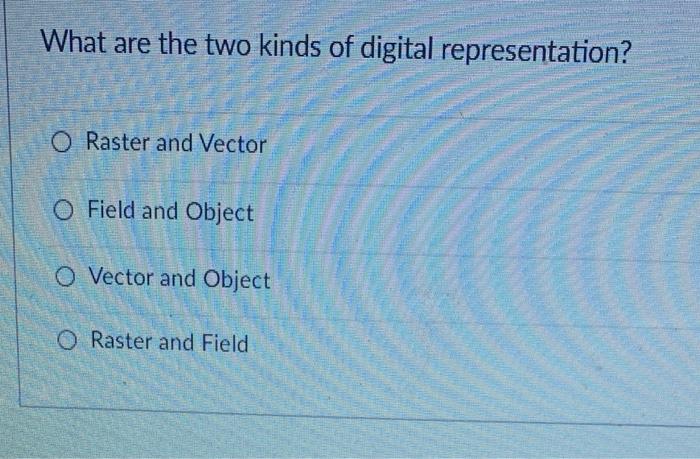 What are the two kinds of digital representation?