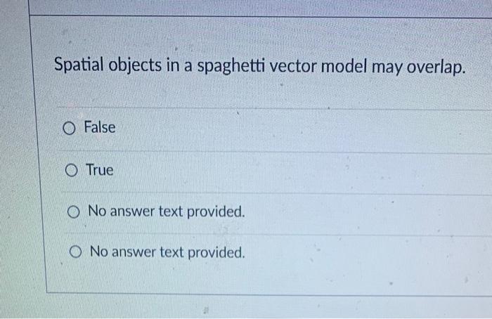 Spatial objects in a spaghetti vector model may