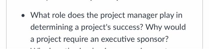 What role does the project manager play in