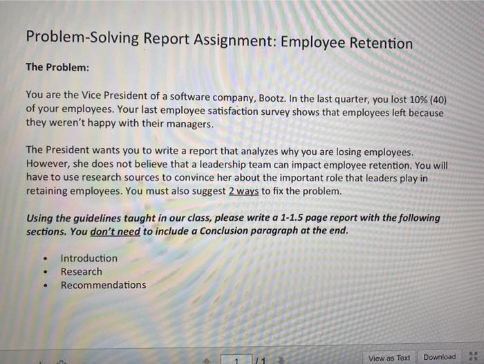 Problem-solving Report Assignment: Employee