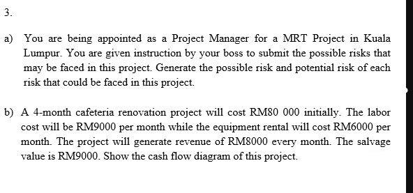 3. a) You are being appointed as a Project