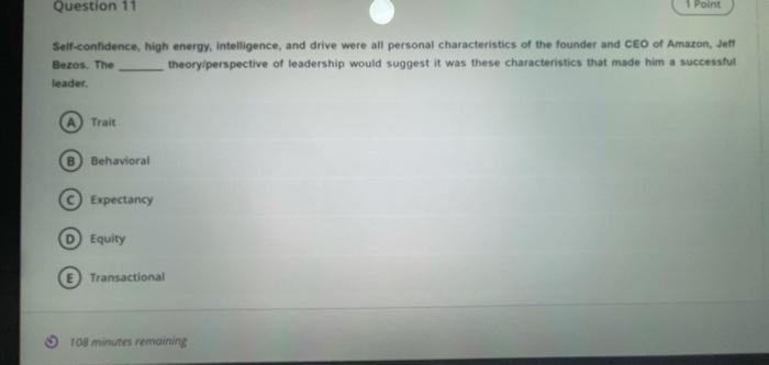 Question 11 Point Self-confidence, high energy,